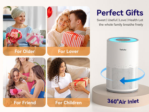 air cleaners for home