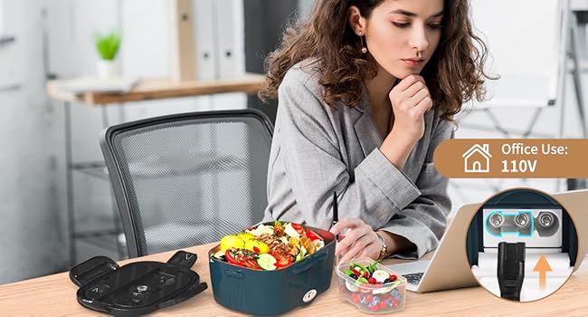 electric lunch box