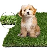 COOLCHOICE Artificial Grass Turf with Drainage Holes for Dog Potty Training 3 ft x 5 ft, 3 cm Fak...