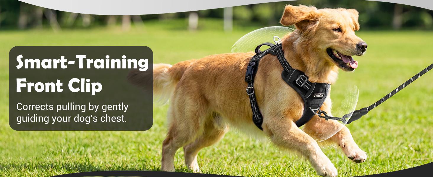 No Pull Dog Harness
