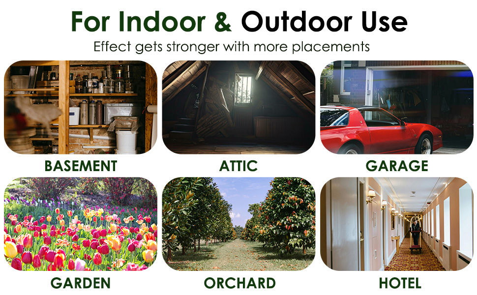 indoor/outdoor use