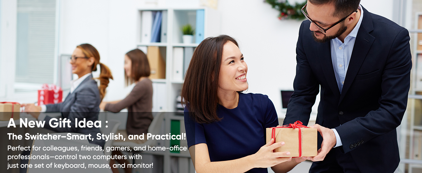 kvm switch 2 monitors 2 computers