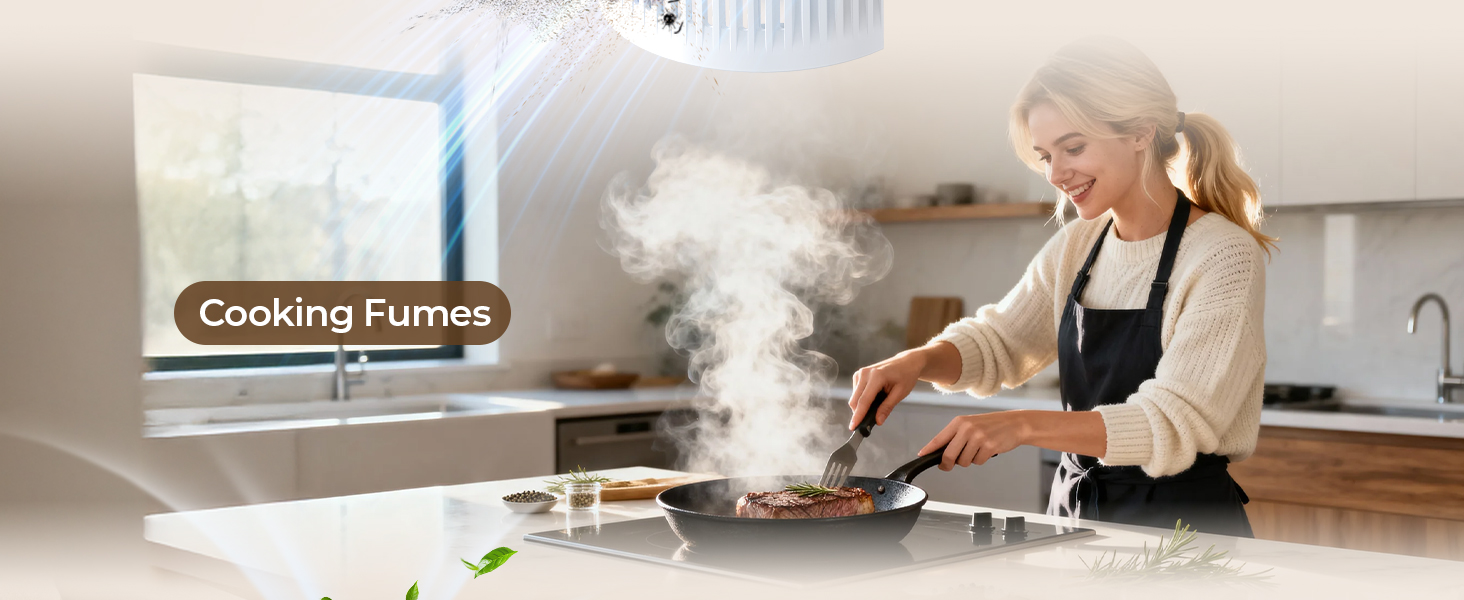 cooking fumes air purifiers for home