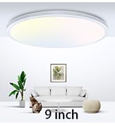 zemty LED Ceiling Light Flush Mount Super Slim 9 Inch 24W 2400lm Ceiling Lights with 3 Color Temp...