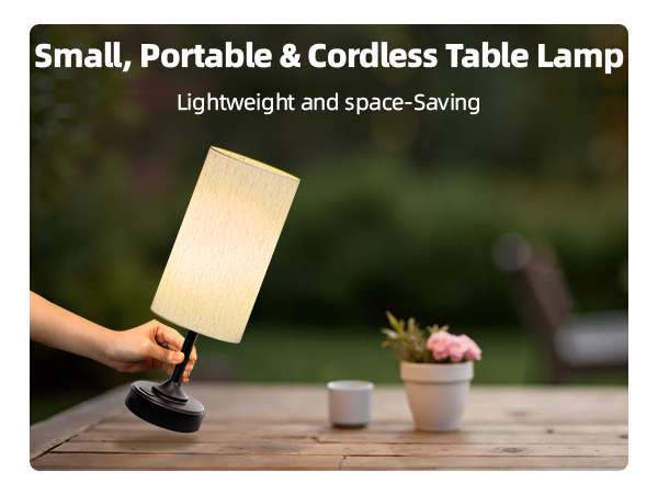 Cordless Table Lamp