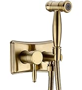 DIKUROOMS Wall Mounted Toilet Bidet Faucet Concealed Handheld Spray Set 2 Function Brass Hot and ...