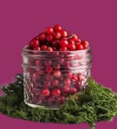 cranberry dog supplement vitamin
