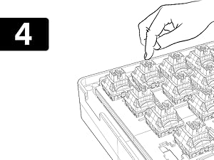 Kailh Box White V2 Keyboard Switches