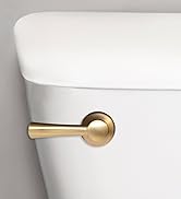 brushed gold toilet handle