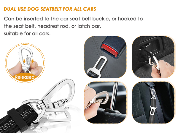 Considerable Design for Your Pet's Safety