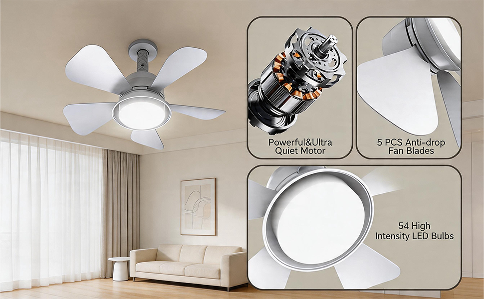 Ceiling Fan with Light