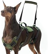 BINGPET Dog Lift Harness for Large Dogs,Full Body Support Rehabilitation Dog Sling Carrier with H...