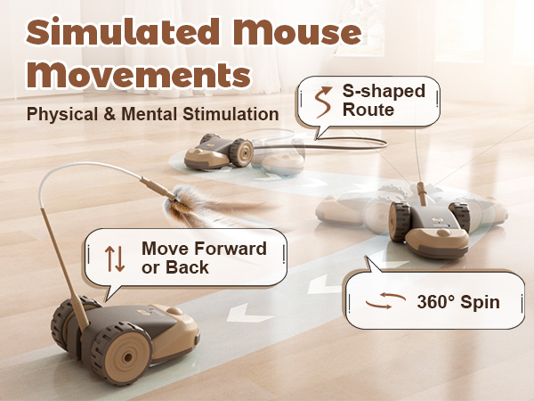 Interactive Cat Toy