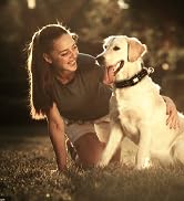 dog collar