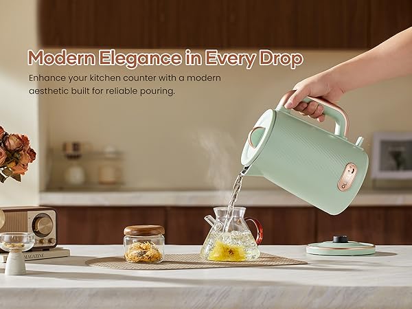 OLEGA Electric Kettle