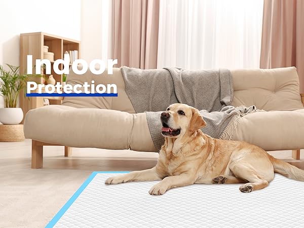 carpet protection
