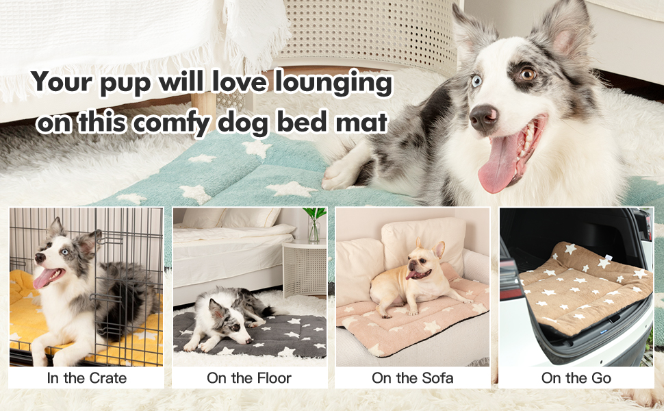 dog crate pad dog bed