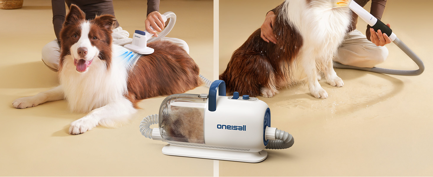 vacuum &amp;amp; dryer