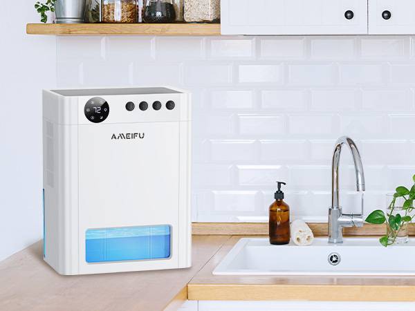 Dehumidifier