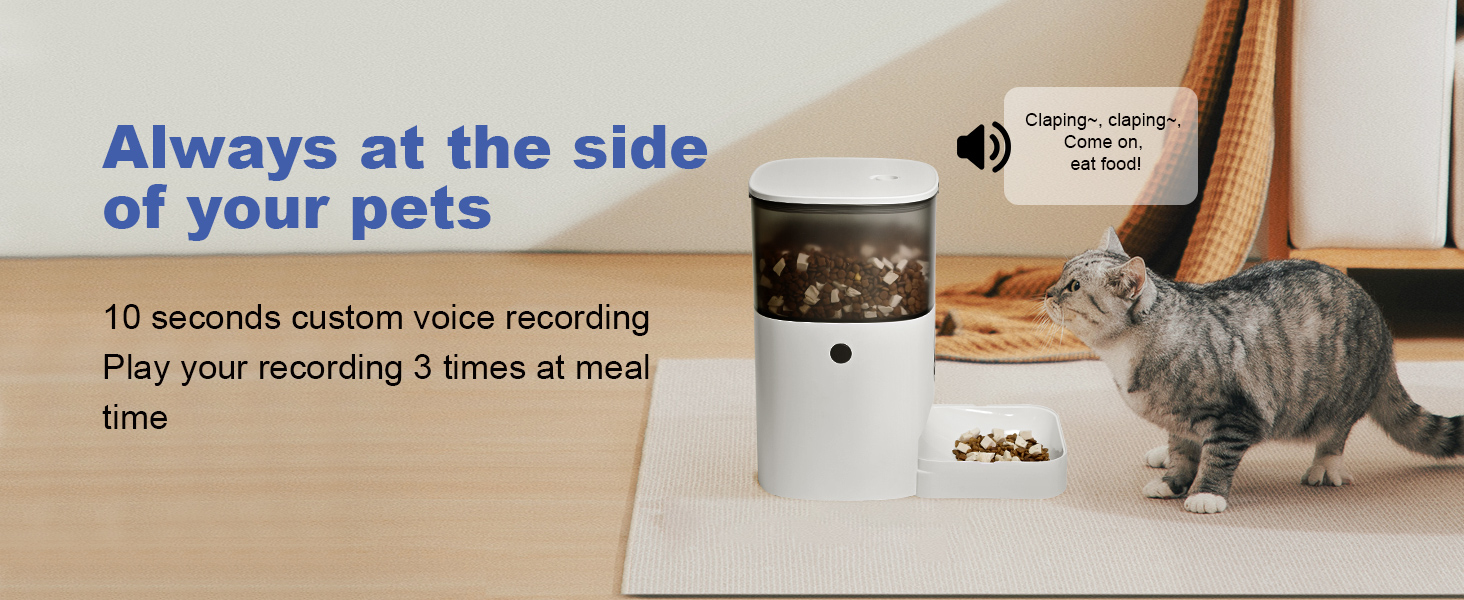 automatic cat feeder with voice call