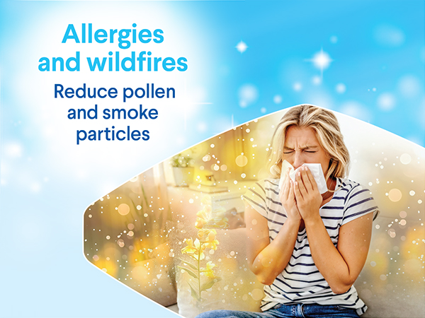 air purifiers for smoke