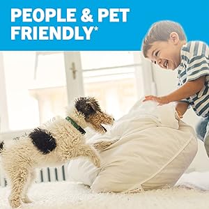 safer home indoor plug-in fly trap is people and pet friendly