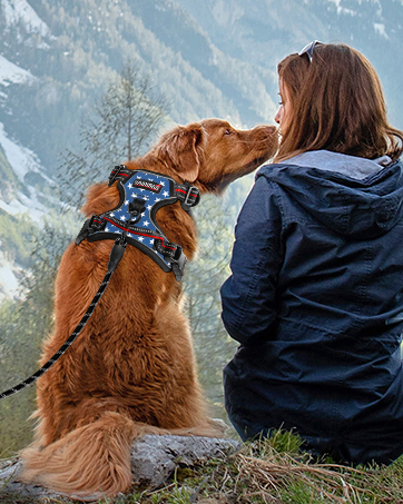 Dog Harness