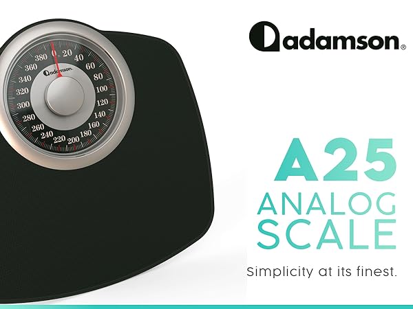 a25 analog scale
