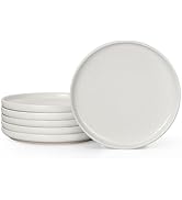 HaWare Dinner Plates Set of 6, 10.2 Inch Stoneware Dinnerware Sets for Home Restaurant, Speckled ...