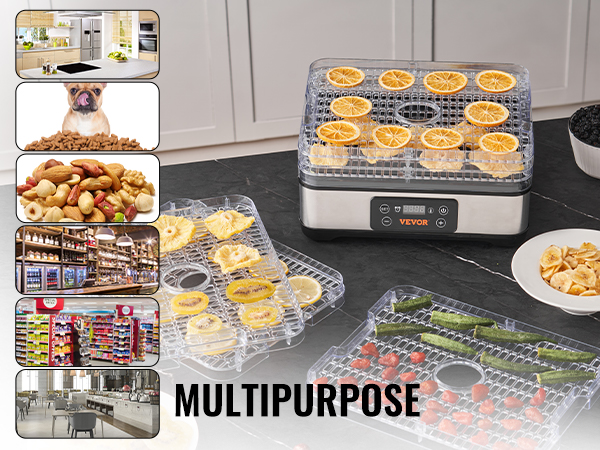 fruit dehydrator machine