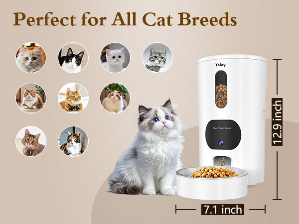 cat feeder with camera
