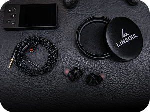 Linsoul iem case