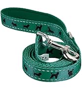 EcoBark Dog Leash - Soft &amp; Reflective Comfort Leash with Padded Handle - Strong Durable Heavy Dut...