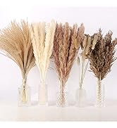N&T NETING 75Pcs Pampas Grass Decor-10Pcs White Pampas Grass, 20Pcs Brown Pompous Grass, 10Pcs Bu...