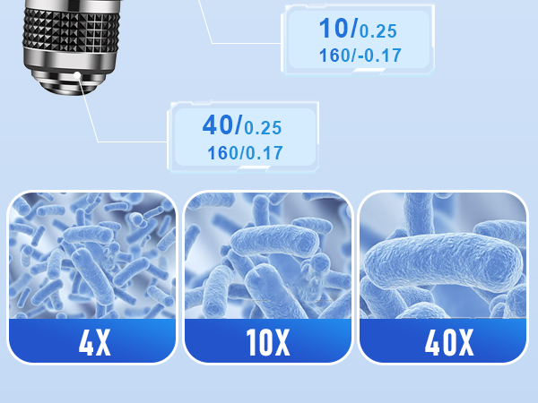 Microscope 