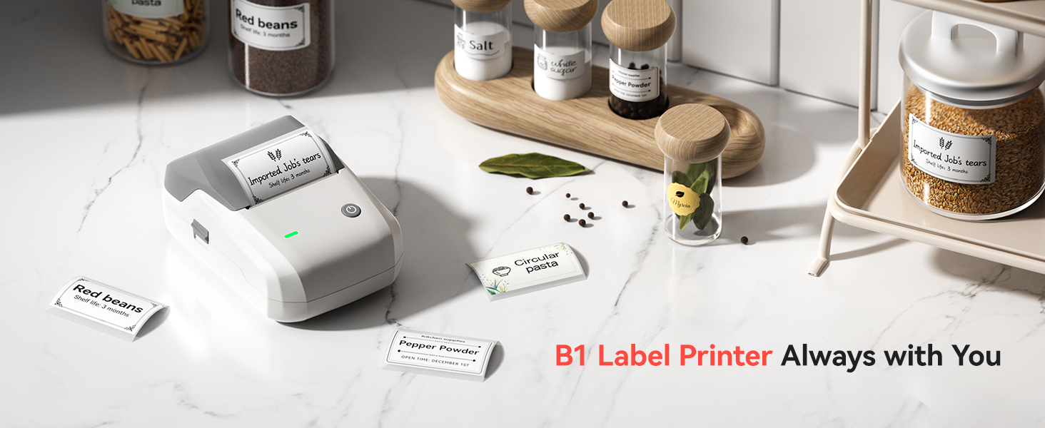 NIIMBOT LABEL MAKER