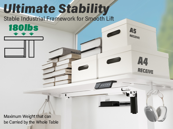 Standing Desk 48 x 24 Inches Electric Height Adjustable Desk