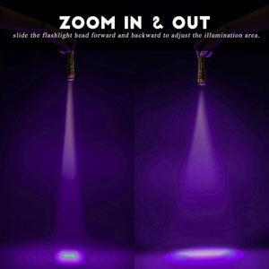 uv light flashlight