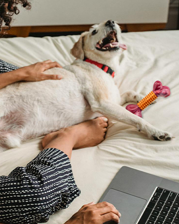 Chew Toys for Large Dogs