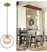 RIIGOOG 9.8-inch Modern Globe Pendant Lights Mid Century Adjustable Hanging Light Fixture with Go...