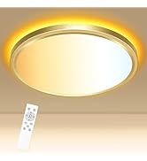 libtit 12 Inch Gold LED Ceiling Light with Night Light 1800K, 24W 3000K/4000K/6500K Dimmable Flus...