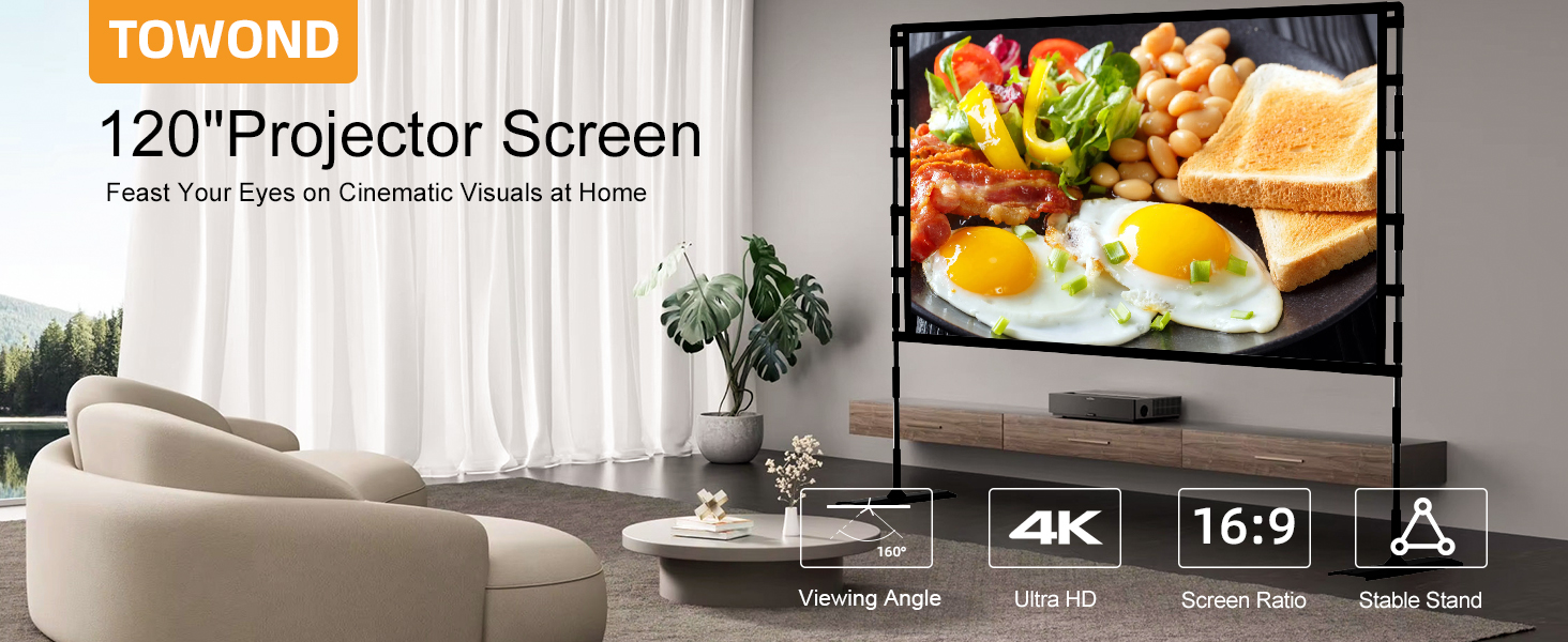 Projector Screen with Stand