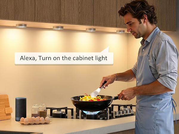 alexa voice control