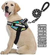 Service Dog Vest Harness and Leash Set, Animire in Training Dog Harness with 8 Dog Patches, Refle...