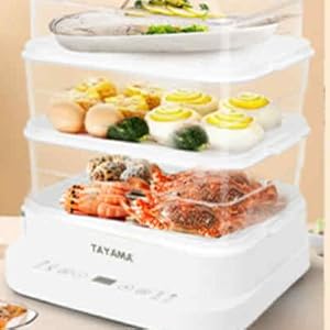 food steamer