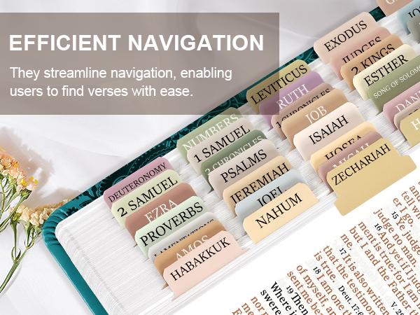 bible tabs for men
