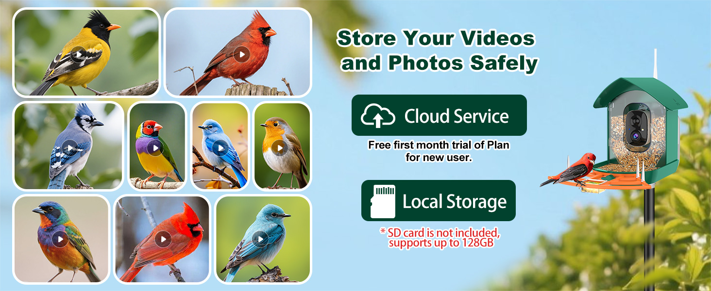 bird feeder with camera orange