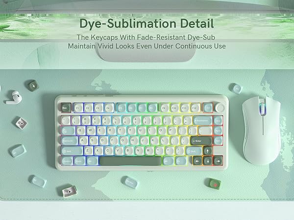 This is a fade-resistant dye-sublimated PBT keycap set