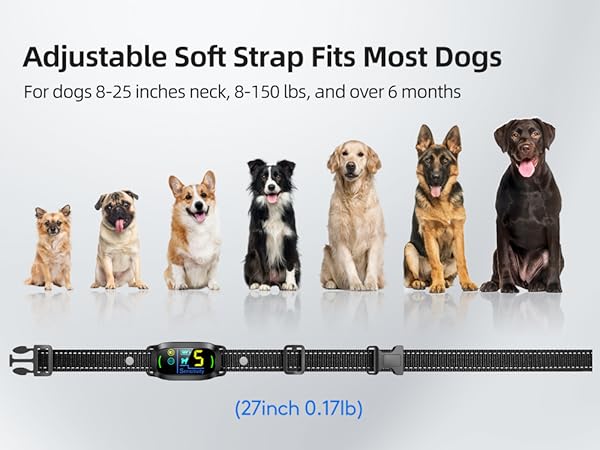 bark collar