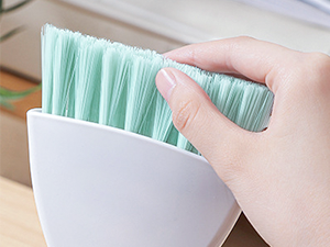 Mini Dustpan and Brush Set